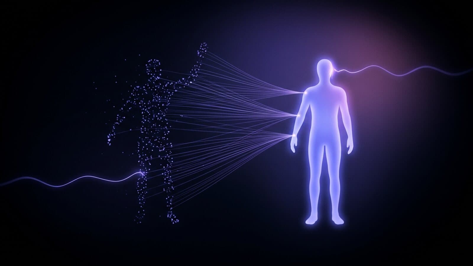 Lip Sync and Motion Transfer for Generated Characters